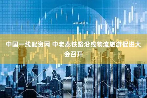 中国一线配资网 中老泰铁路沿线物流旅游促进大会召开